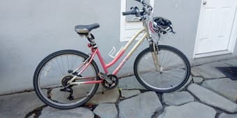 Female Bicycle 1