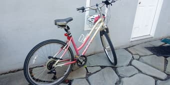 Female Bicycle 2
