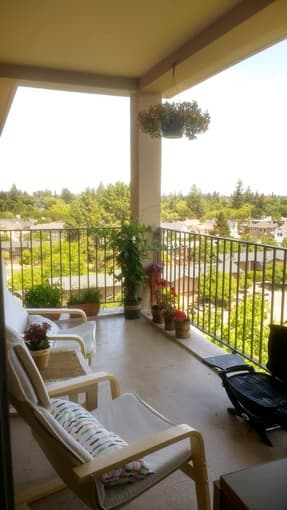 1BR Apartment in EV for December/January - $65 p/day 2