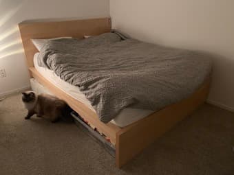 Ikea Malm Queen Bed Frame + Mattress 1