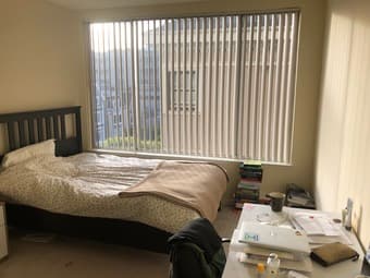 Private Bedroom for any time period b/w Dec 15-Mar 31 in San Francisco 1