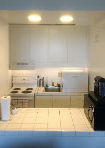 1BR Apartment in EV for December/January - $65 p/day 2