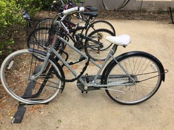 Female bike for sale 1