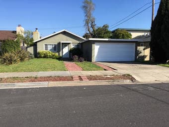 Private Room in Belmont house available 1/ 1 - must love dogs 3