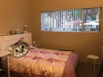 卧室短租 Sublet a private bedroom in Menlo Park 1