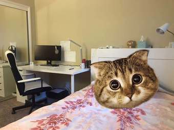 卧室短租 Sublet a private bedroom in Menlo Park 2