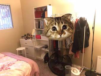 卧室短租 Sublet a private bedroom in Menlo Park 3