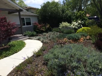 House in Palo Alto for rent July 10 - Aug 13, 2019 1