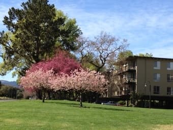 Entire furnished 1 bedroom/bath minutes to Stanford 3