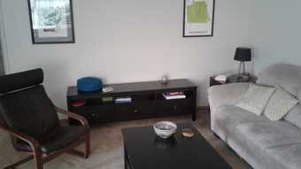 Apartment share by Cal Ave 3