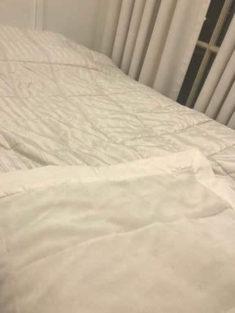 Bed Bath and Beyond's Blanket (100% Polyester) 2