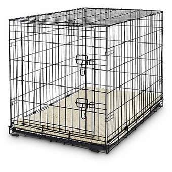 Petco 1-Door Dog / Pet Crate, X-large, black coated metal 1