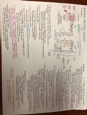 Selling MCAT Study Guide 2