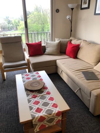 Cushions and runner table 1
