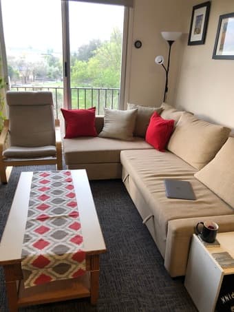 Cushions red and runner table 1