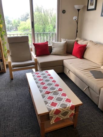 Cushions red and runner table 2