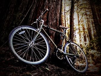 Awesome Single Gear Bike available next week 1