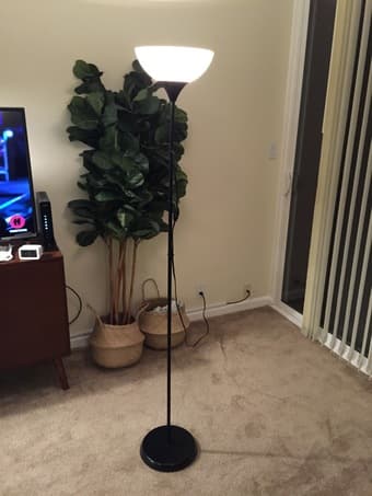 Floor Lamp+light bulb (Palo Alto) 1