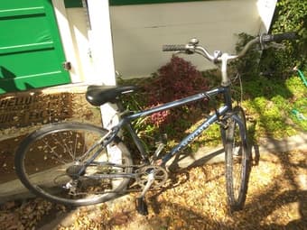 Schwinn Bicycle 1