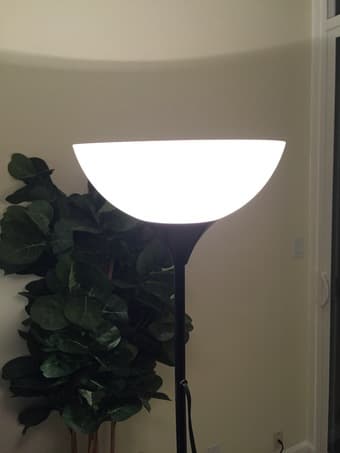 Floor Lamp+light bulb (Palo Alto) 1