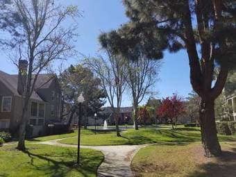 Looking for a Roommate- 2B/2B Apt in Redwood City- Available 4/5/19. 3