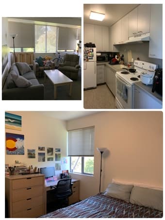 On-campus furnished room in Lyman 2-bedroom apartment summer 2019 1