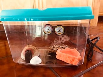 Hermit Crab Tank + Heating Pad and Accessories 1