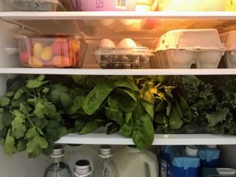 moving sale - SMEG fridge / freezer 2