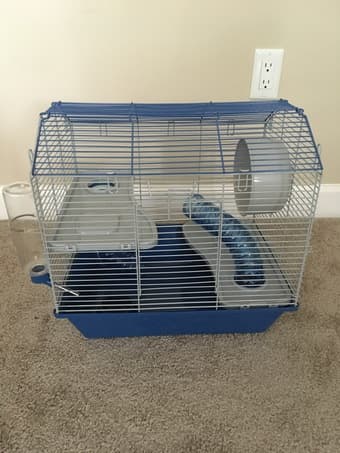 Hamster cage 1