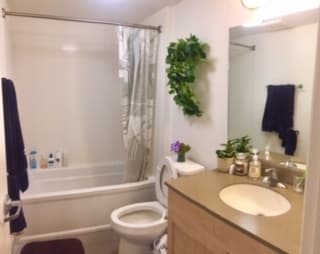 Fully furnished Rains bedroom in 2BR apt - June-August - $1200 2