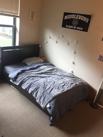Munger Summer Sublet 3