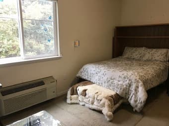 Clean, quiet, spacious room available in Mountain View 1