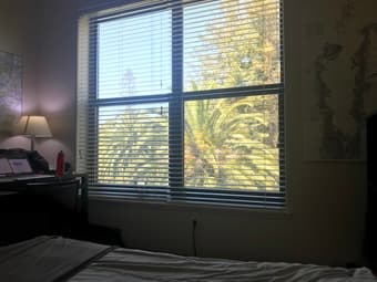 SUMMER: On-campus furnished bedroom & private bath in 4-br apartment 2