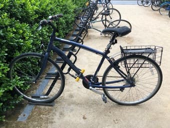 Blue norco bike 1