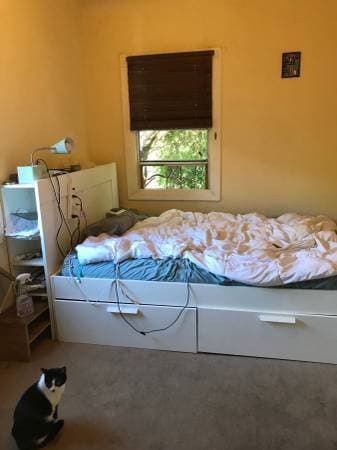 June and July Bedroom Sublet in Oakland North/Temescal 3