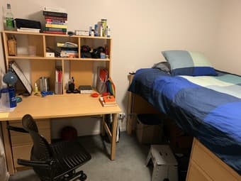 Room to Sublet at Escondido Village (Rains) 2