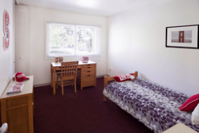 One month on campus sublet - June 4th-July 7th 3