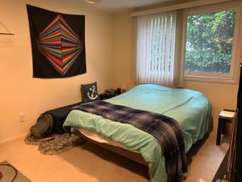 Master Bedroom Available in Spacious Twin Peaks House 2