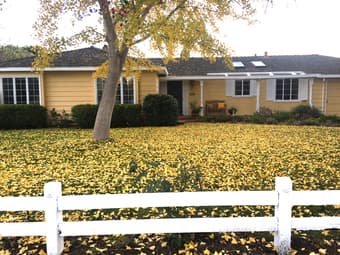 Upscale House Share in Northern Los Altos for 1 Person (3BR/2.5BA) 1