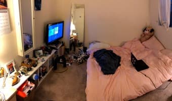 Bright Room in Menlo Park available 6/14 3