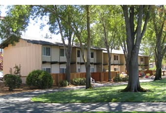 Inexpensive Stanford Summer Sublet 1