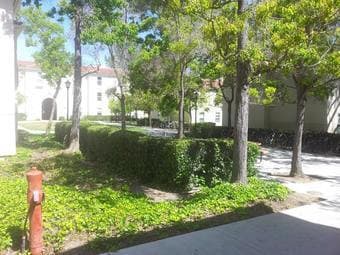 Fully furnished summer sublet on campus (Rains) available 6/11-8/31 2