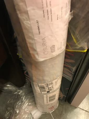 LIVING SPACES rug(Brand new)-moving sale 3