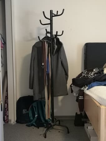 Sturdy Coat Rack Stand, Entryway Hall Tree Coat Tree black 2