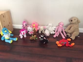 14 stuffed animals 1
