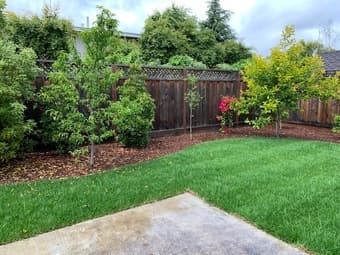 Palo Alto house with room for rent! 1