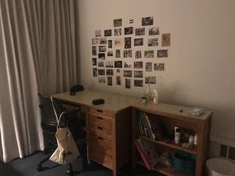 Single Room Available From June 17th Until September 19th 2019 In Esco 2