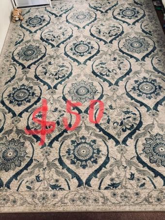 Moving Sale（rug/ lamp/ drawer） 1