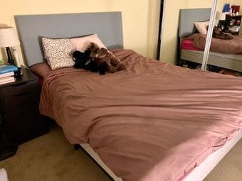 Amazing bed 1