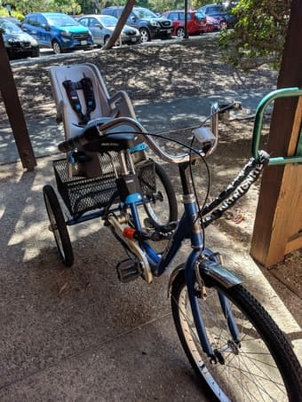 Ralegih Tricycle With Thule Child Seat 1